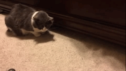 Daily GIFs Mix, part 896