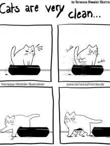 Funny Comics About Life With Two Cheeky Cats
