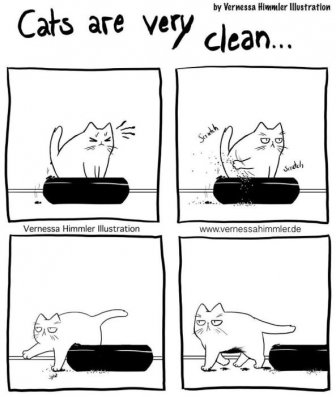 Funny Comics About Life With Two Cheeky Cats