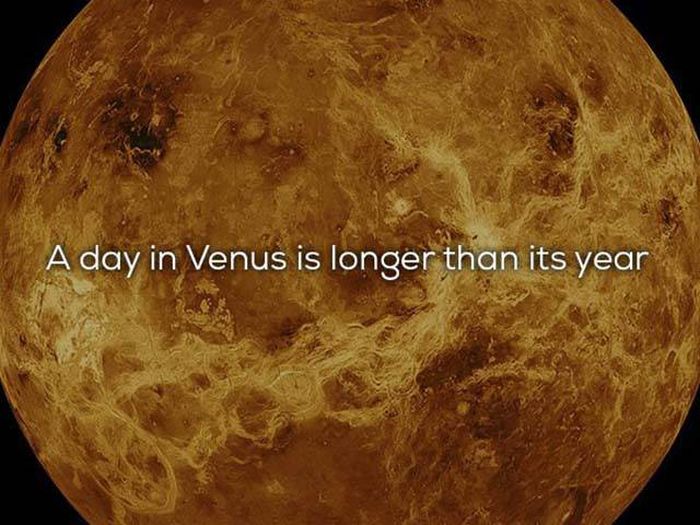Science Facts That We All Need In Our Lives