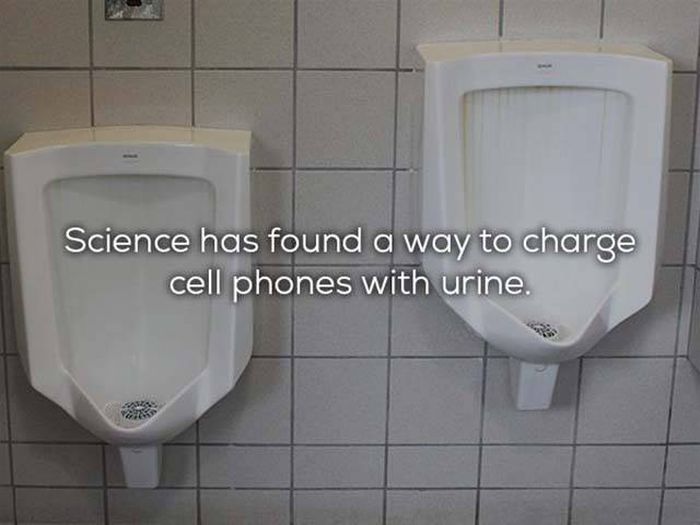 Science Facts That We All Need In Our Lives