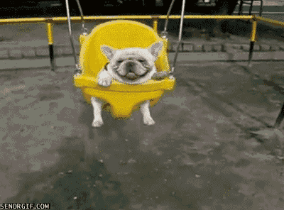 Daily GIFs Mix, part 900