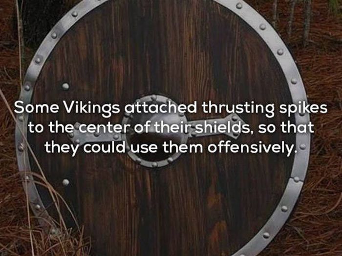 Awesome Things You Never Learned About Vikings In School
