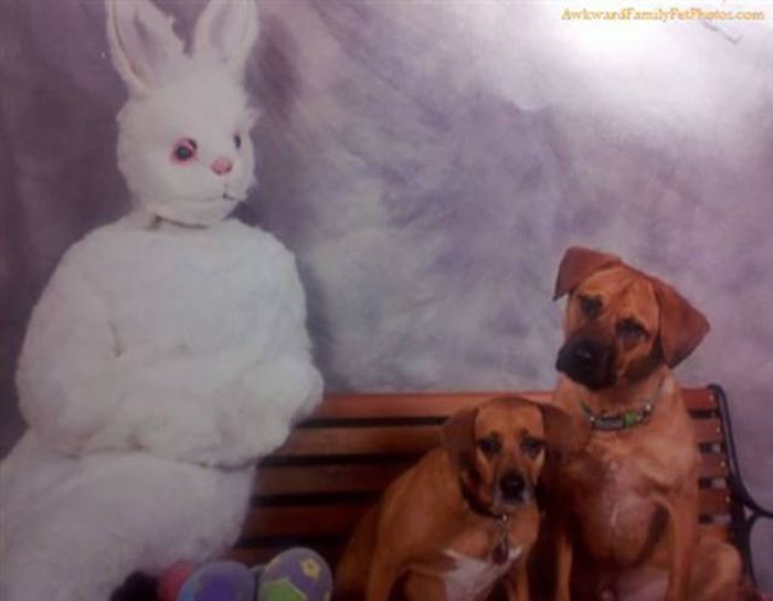 When Easter Turns Out To Be A Complete Disaster