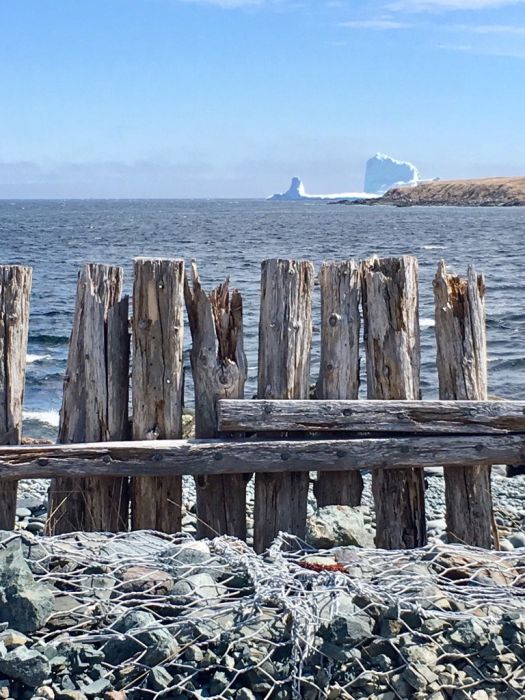 Stunning Photos Of Alley Of The Icebergs In Ferryland