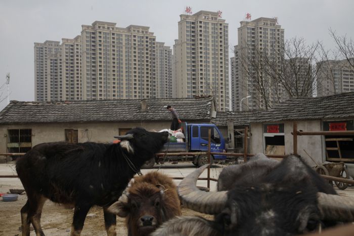 Interesting Photos Show Everyday Life In China