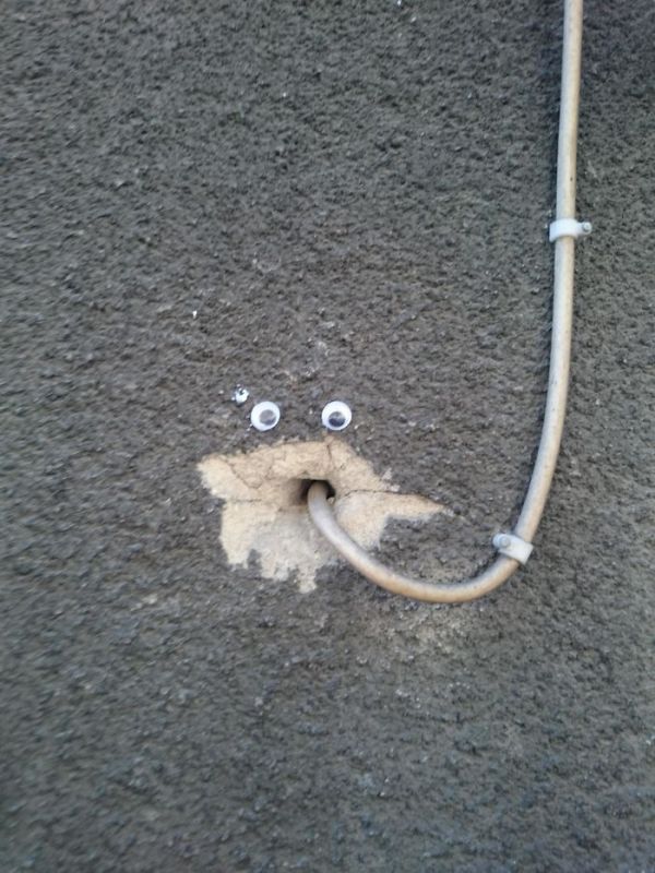 Pics That Prove Googly Eyes Make Everything Funnier