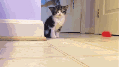 Daily GIFs Mix, part 901