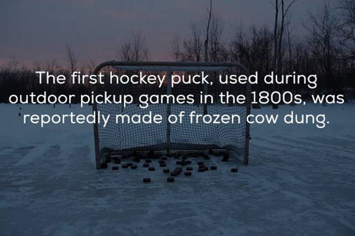 Hockey Facts That You Need In Your Life Right Now