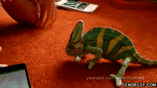 Daily GIFs Mix, part 904