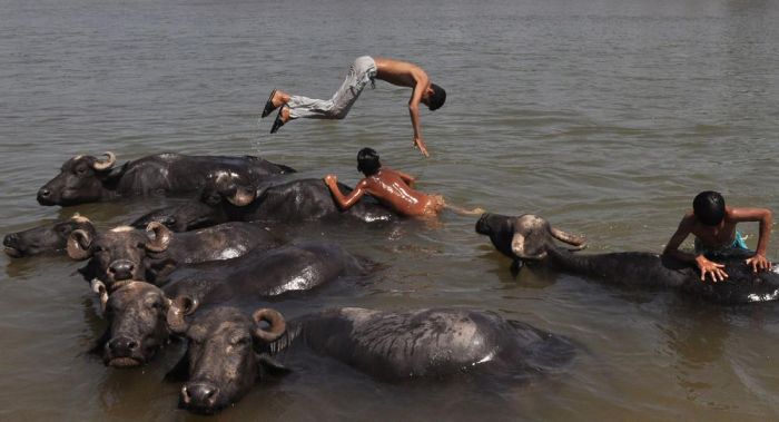 Pics That Show Everyday Life In India