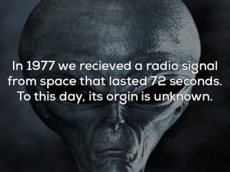 Creepy Facts That Will Send Chills Down Your Spine