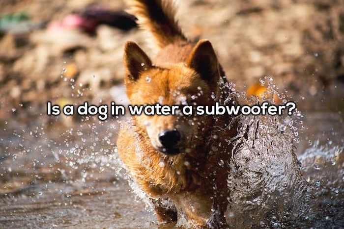 Shower Thoughts That'll Cause You To Waste Water