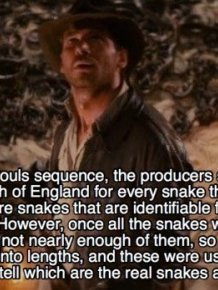 Exciting Facts About Raiders Of The Lost Ark