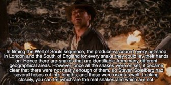 Exciting Facts About Raiders Of The Lost Ark