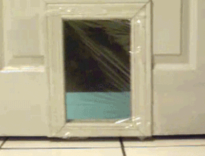 Prank Gifs That Will Keep You Laughing All Through The Week