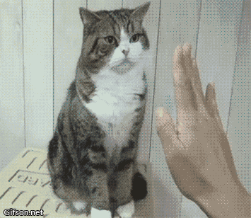 Daily GIFs Mix, part 911
