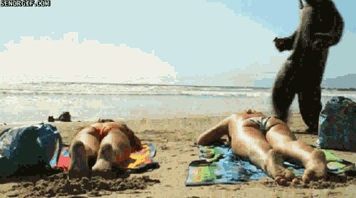 Daily GIFs Mix, part 911