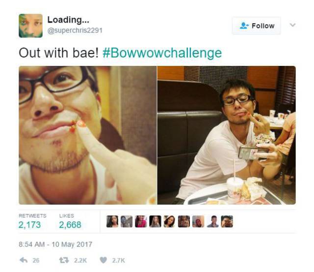 The Internet Owned Bow Wow With The Bow Wow Challenge