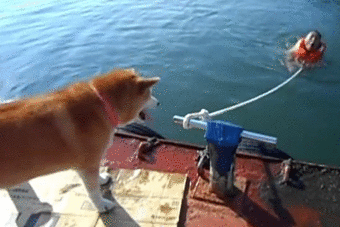 Daily GIFs Mix, part 915