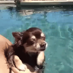 Daily GIFs Mix, part 916