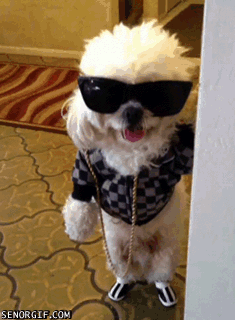Daily GIFs Mix, part 917