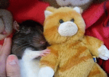 Daily GIFs Mix, part 917