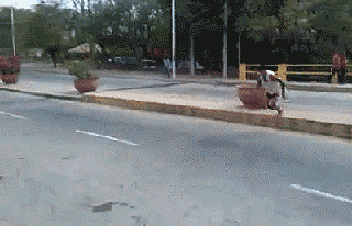 Daily GIFs Mix, part 918