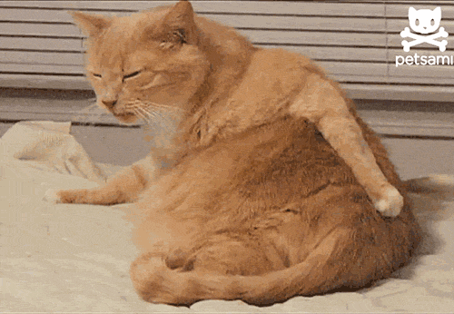 Daily GIFs Mix, part 920
