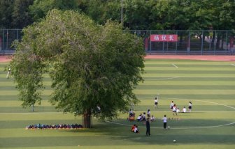 Kids In China Have To Play Football With A Tree On The Field