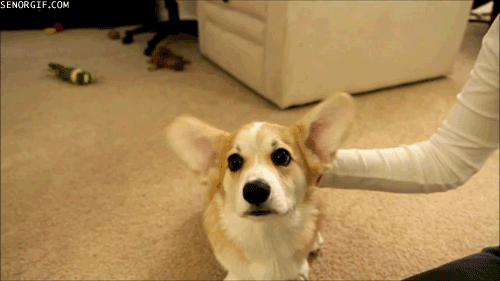 Daily GIFs Mix, part 922