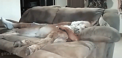 Daily GIFs Mix, part 924