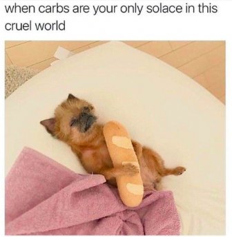 Tasty Memes About Carbs