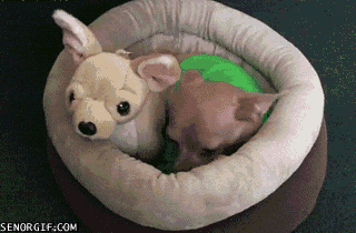 Daily GIFs Mix, part 928