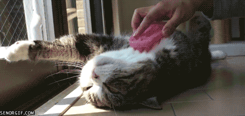 Daily GIFs Mix, part 928