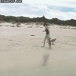 Daily GIFs Mix, part 929
