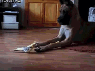 Daily GIFs Mix, part 930