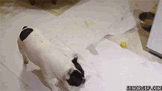 Daily GIFs Mix, part 930