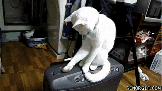 Daily GIFs Mix, part 931