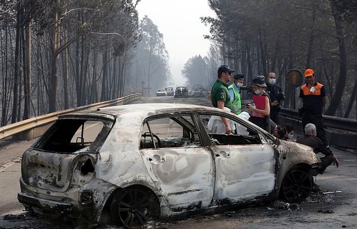 Forest Forest Fires In Portugal Claim Lives Of People Trapped In Cars
