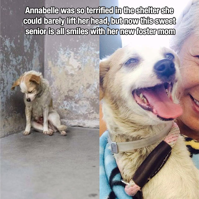 Heartwarming Reminders That Life Is Beautiful