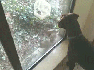 Daily GIFs Mix, part 932