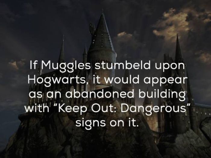 Magical Facts About Harry Potter To Celebrate His 20th Birthday