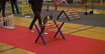 Daily GIFs Mix, part 937
