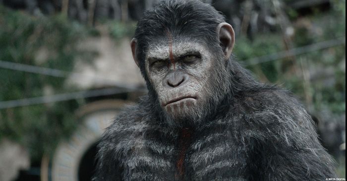 Dawn Of The Planet Of The Apes Behind The Scenes Photos
