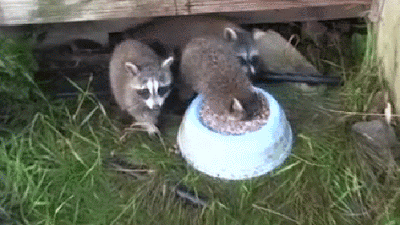 Daily GIFs Mix, part 938