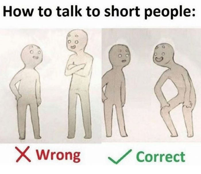 Everything You Need To Know About Talking To Short People