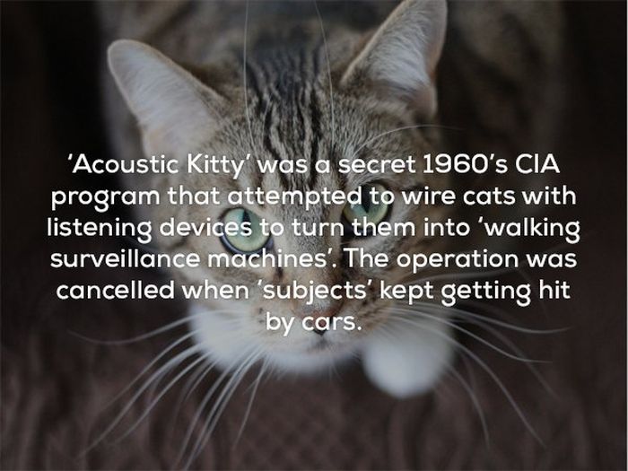Creepy Facts That Will Give You The Coldest Of Chills