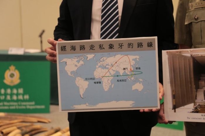 Chinese Customs Officers Confiscate 7 Tons Of Contraband Ivory