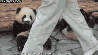 Daily GIFs Mix, part 942